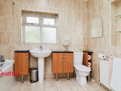 Picture 21